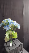 Beijing Hydra bush bunch blue 3