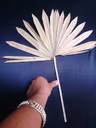 Boho item medium leaf 1