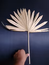 Boho item medium leaf 2