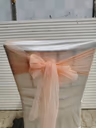 Chairtie peach Net 1