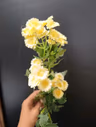 Button hybrid yellow 2
