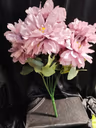 American Dahlia.Bunch 3