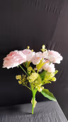 Yami camelia bunch peach 2