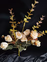 Alias Rose 1
