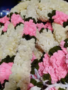 Mala white& pink 2 ft 3