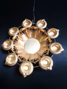 Lotus urali small 3 12 inch 2
