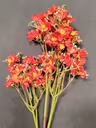 Butterfly long bunch Red 1