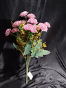 Bloom carnation bunch 2