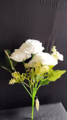 Yami camelia bunch white 2