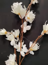 Aron bloom long bunch white 3