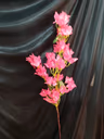 Bougainville stick magenta 3