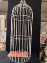 Birds Nest 14.5 ft 2
