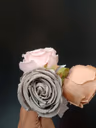 Cabbage rose mixed 2