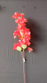 Bougainvillea long bunch red 1