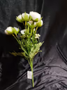 Baby peony bunch white 1