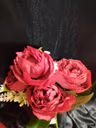 Bada peony bunch 1